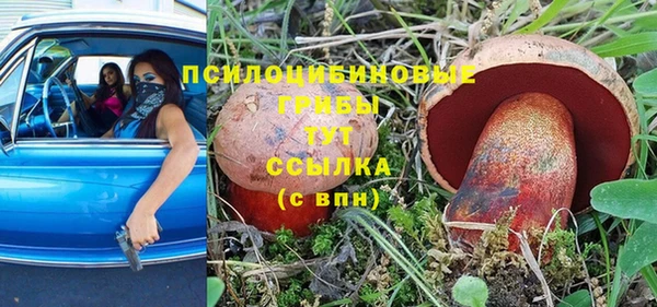 молекула духа Армянск