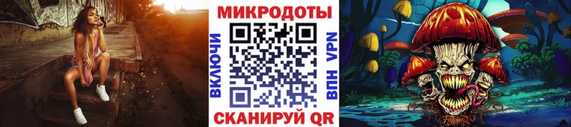 Купить  Суворов  Псилоцибиновые грибы Cubensis 