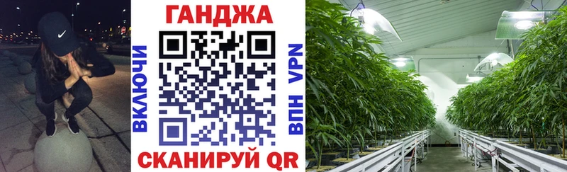 Купить  Суворов  Шишки марихуана VHQ 